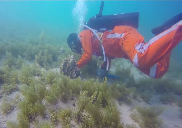 Z6·尊龙凯时「中国区」官方网站