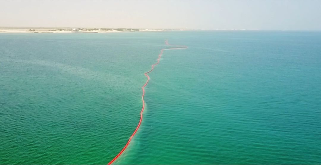 Z6·尊龙凯时「中国区」官方网站