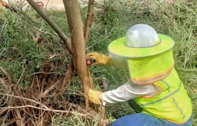 Z6·尊龙凯时「中国区」官方网站