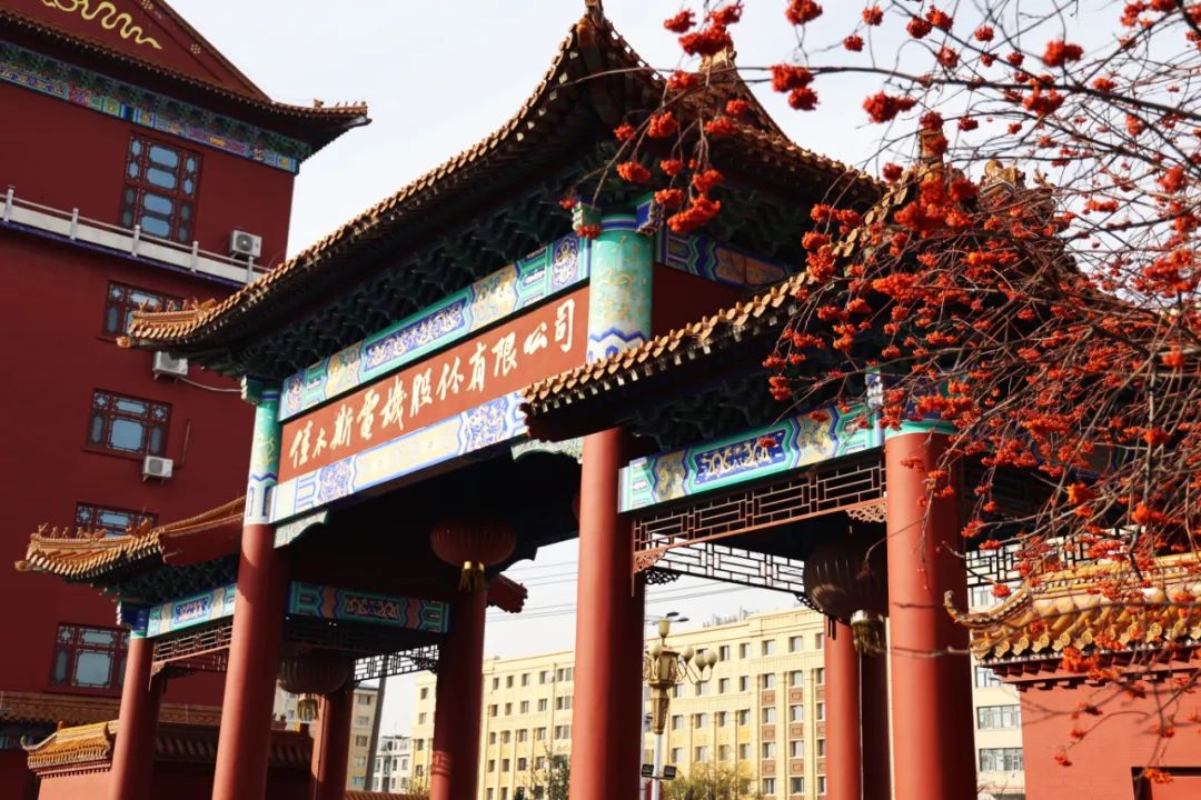 Z6·尊龙凯时「中国区」官方网站