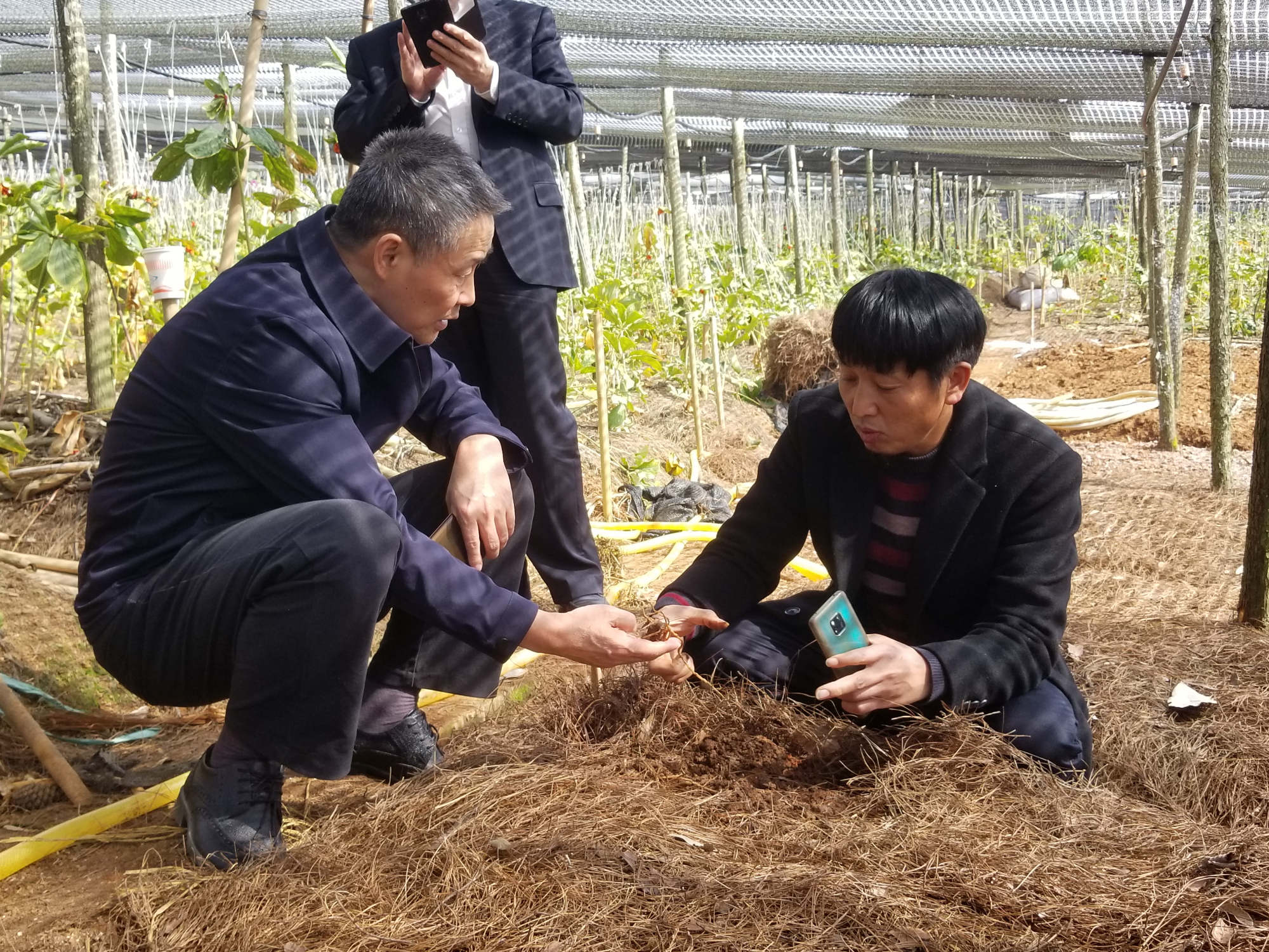 Z6·尊龙凯时「中国区」官方网站